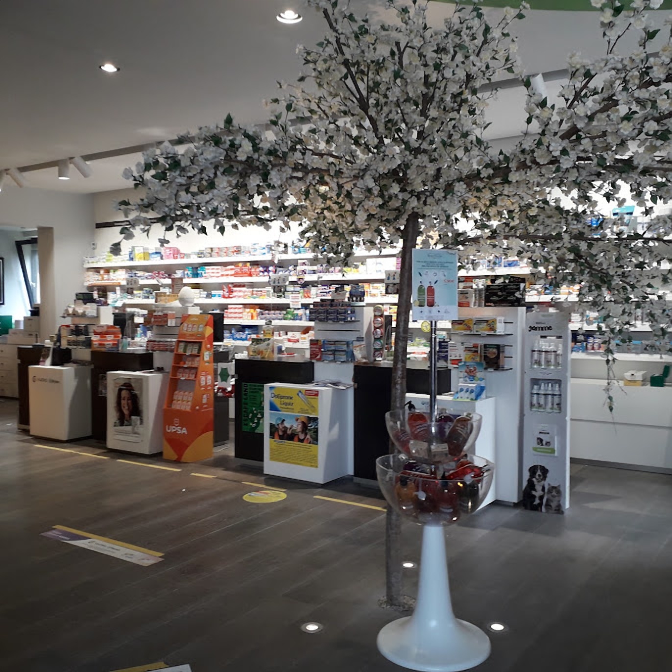 Magasin La Pharmacie des Provinces - Coudekerque-Branche (59210) Visuel 3